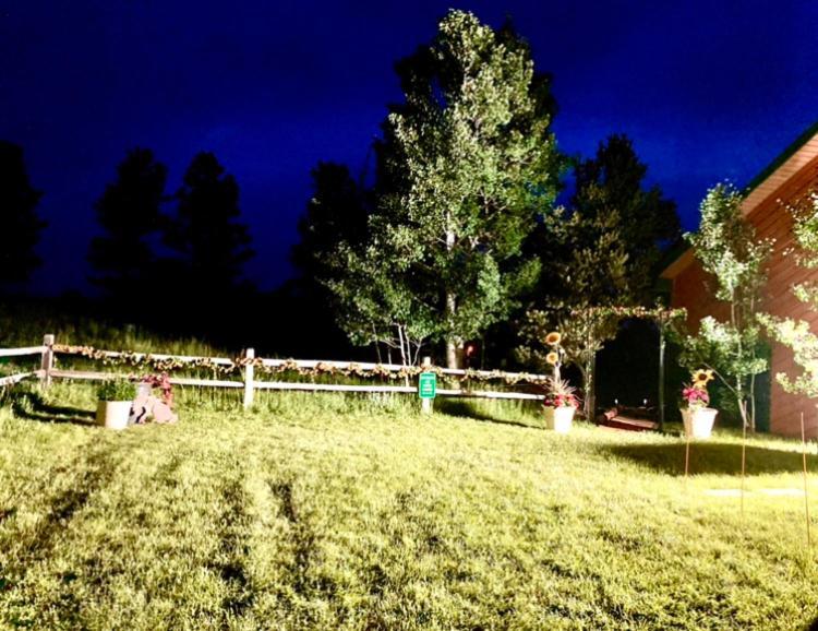 שאיין Yellowstone Cattle Baron Ensuite, Private Entrance & Parking - Prairie Rose B&B מראה חיצוני תמונה